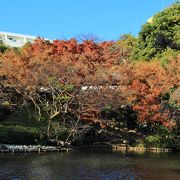 まだまだ紅葉が綺麗で良かったです