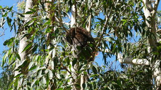 ヤンチャップ国立公園♪