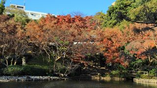 まだまだ紅葉が綺麗で良かったです