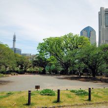 掃部山公園(ランドマークタワー方面)