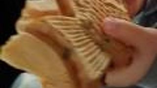 たい焼専門店 やまや本舗