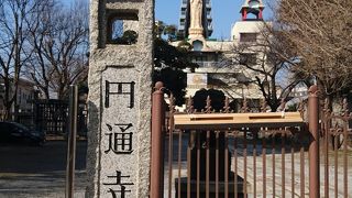 寛永寺の黒門が見どころ