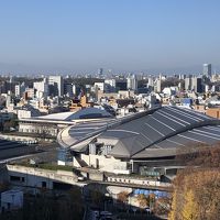 ホテル屋上から見たビグザムこと東京体育館
