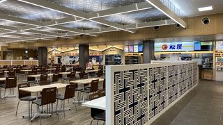 フィリピンセブ島1人旅で成田国際空港に行く際に利用！