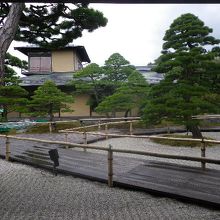 竹林　テーブル席からの眺め