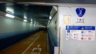 海の下を歩ける貴重な体験