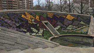 公園内で唯一華やかでした