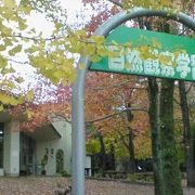 公園内の動植物について詳しく説明してます