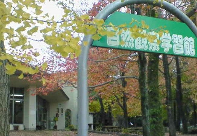 公園内の動植物について詳しく説明してます