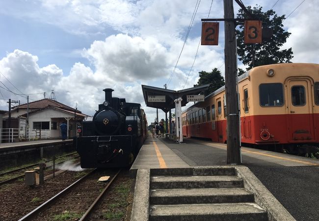 養老渓谷行の里山トロッコ！