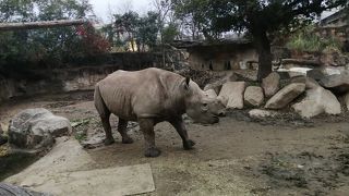工夫をしている素敵な動物園