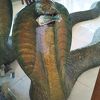 マンダレー・ヒルという寺院はなく複数のパヤーの複合体である。