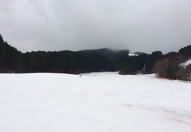 ひろしま県民の森