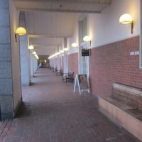 客室エリアの通路の様子