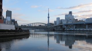 朝一の散歩コースには最適です。