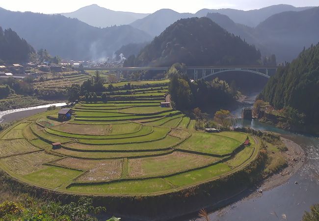 あらぎ島の棚田 クチコミ アクセス 営業時間 有田 有田川 フォートラベル