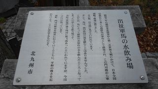 戦いに駆り出された農耕馬の水飲み場