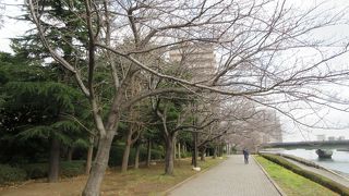 東京の夜景が眺められます