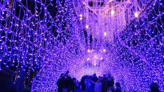 関東三大イルミネーション