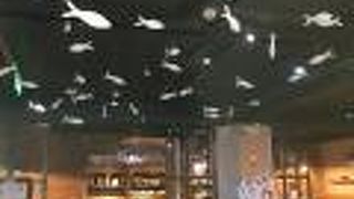 シャンハイ フィッシュ イン イースト ナンジン ロード