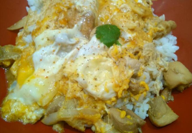 博多の有名なブランド鶏の親子丼