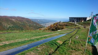 家族や仲間で楽しめる！