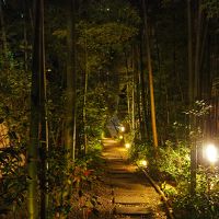 ホテルオークラ東京 別館 写真