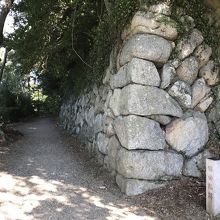 豊川沿いの遊歩道より