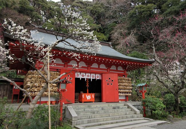 荏柄天神社 クチコミ アクセス 営業時間 鎌倉 フォートラベル 荏柄天神社 クチコミ アクセス 営業時間 鎌倉 フォートラベル