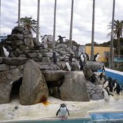 こじんまりの水族館