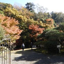 入口から見た庭園の様子