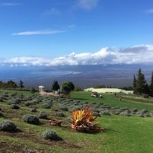 山の中腹にあり、展望は抜群。