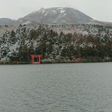 船の中から箱根神社を