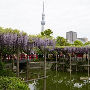 人気な神社