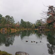 兼六園　霞ケ池