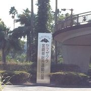 宮崎県総合運動公園
