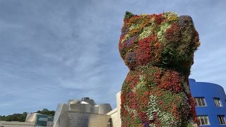 前面リアルフラワー