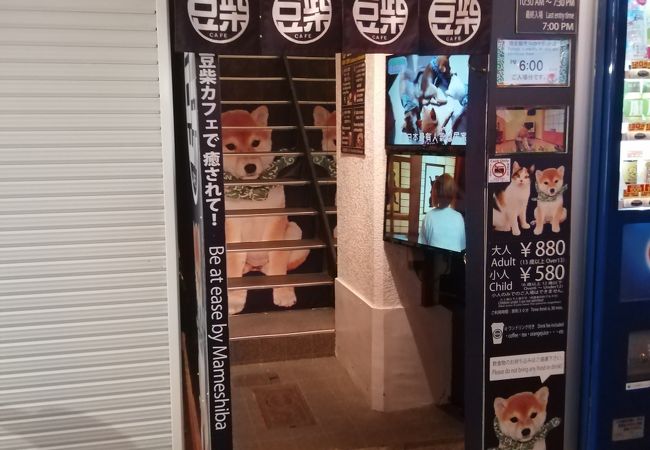 豆柴カフェ 大阪店 クチコミ アクセス 営業時間 ミナミ 難波 天王寺 フォートラベル