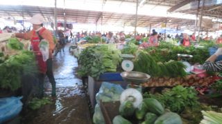 食料品中心の市場