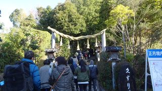 病気に効くらしい