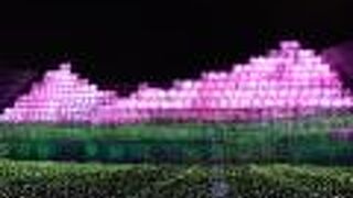 なばなの里 ウィンターイルミネーション 冬華の競演