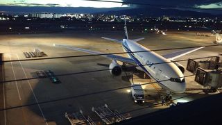 飛行機がたくさん見れます