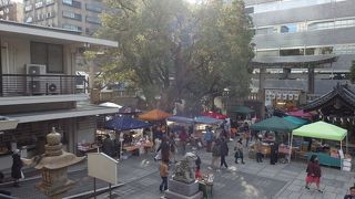 正月の賑わいがありました