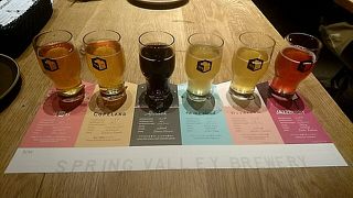 お酒とお料理が美味しいオサレレストラン