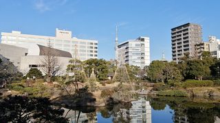 都会の喧騒を忘れさせてくれます