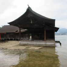 いつ能が演じられるのかしら