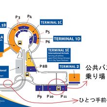 空港の公共バス乗り場