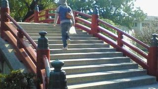 高い橋の上からの池の眺めがいい感じでした