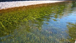 数十年を時を超えてもなお美しい！