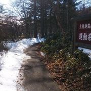 自然を手軽に味わえそうな公園